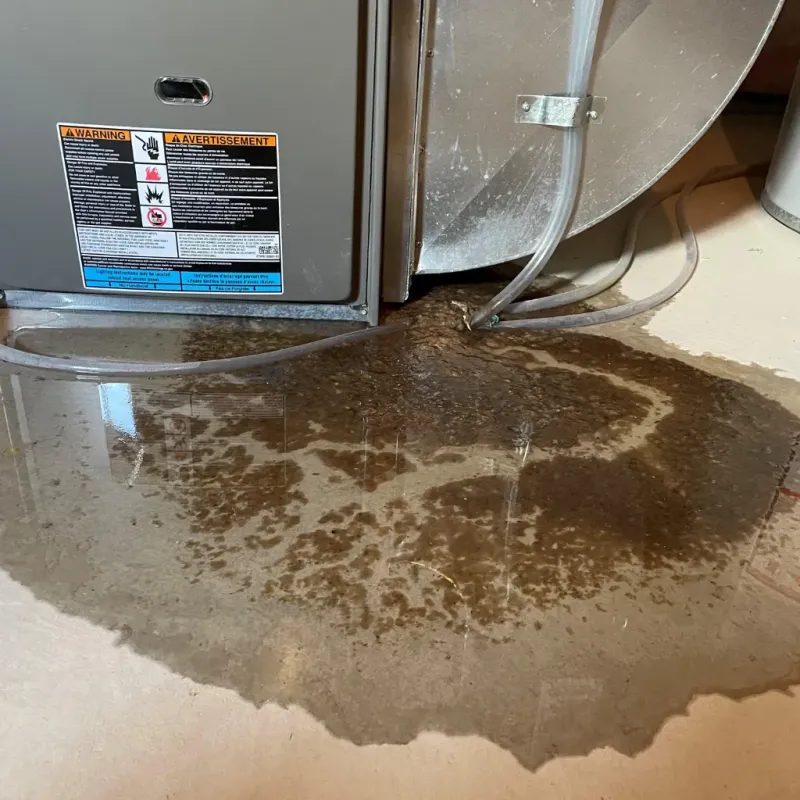 Appliance Leak Cleanup in Rensselaer County, NY